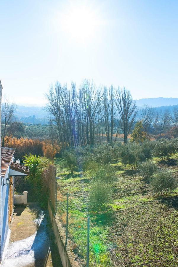 Maison d'hôtes Mi Casita à Ronda Extérieur photo